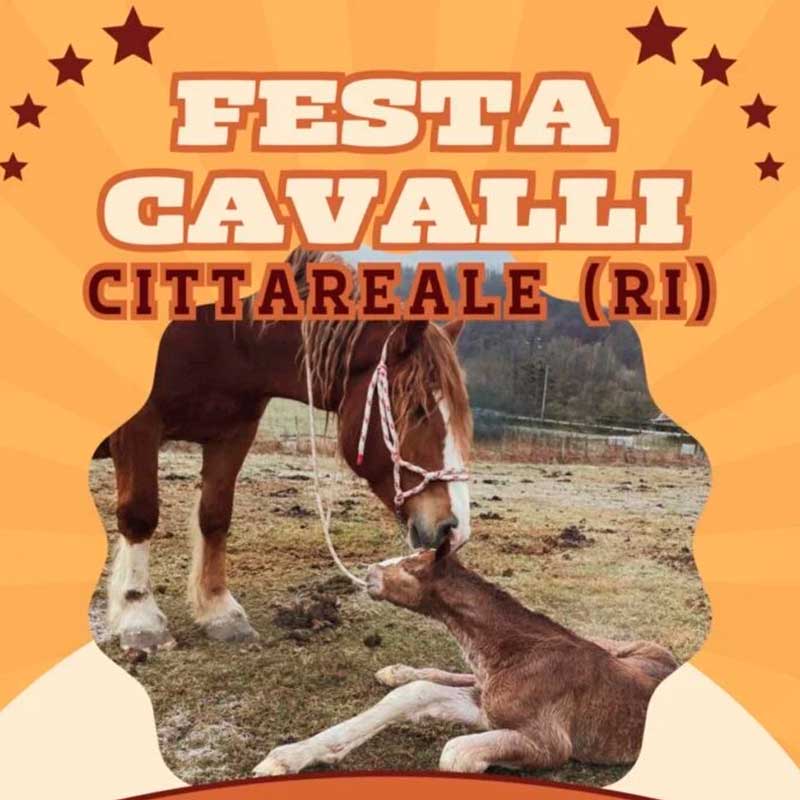 Festa Cavalli